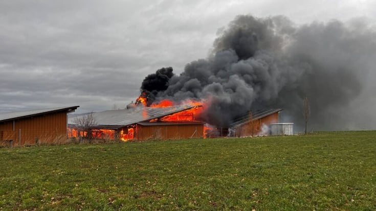 A l'arrivée des pompiers, la porcherie était déjà entièrement en feu. Ces derniers ont pu empêcher que les flammes ne se propagent aux autres étables