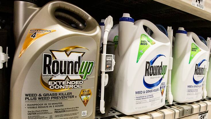 Si le glyphosate, utilisé dans le Roundup, a été classé "cancérogène probable" par l'OMS, l'autorité européenne de sécurité des aliments a indiqué n'avoir pas identifié de "domaine de préoccupation critique" de nature à empêcher l'autorisation de l'herbicide (archives).