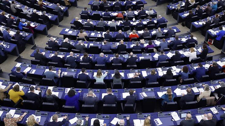 Le texte voté par le Parlement européen vise à exempter une partie des variétés issues des "nouvelles techniques génomiques" (NGT) des règles encadrant les organismes génétiquement modifiés (OGM). (archives).