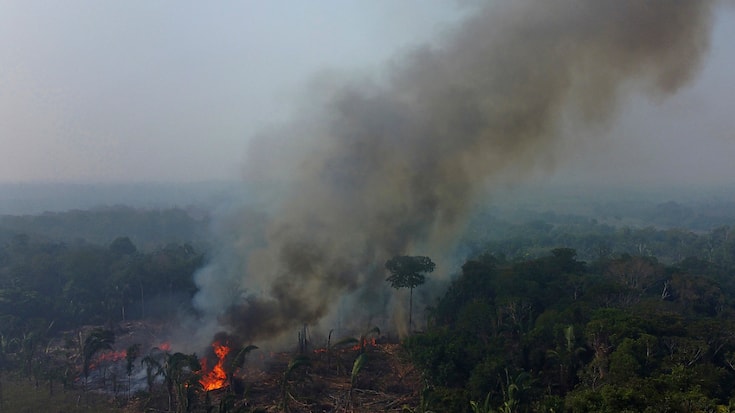 En février 2024, les incendies en Amazonie brésilienne ont été quatre fois plus nombreux que durant le même mois un an plus tôt (archives).