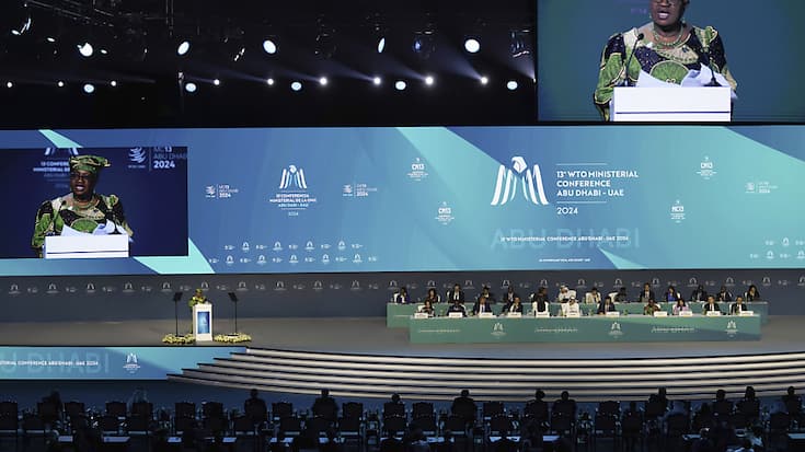 Les membres de l'Organisation mondiale du commerce (OMC) ont négocié toute la nuit à Abou Dhabi pour tenter d'arracher des accords.