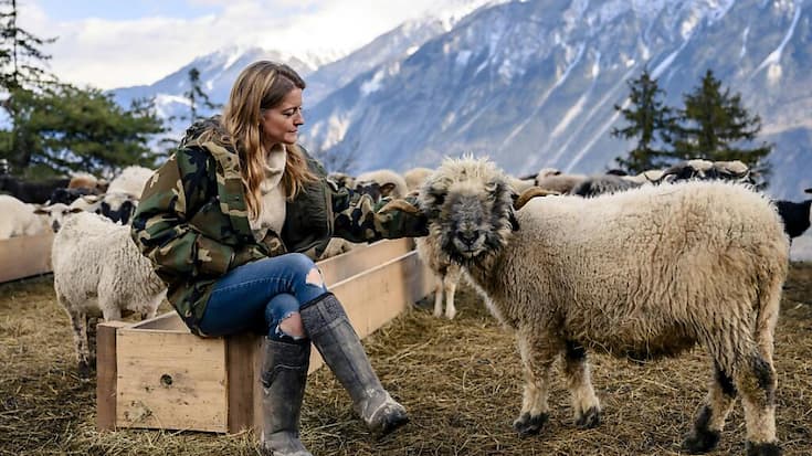 Claire Jeannerat et Nounours, un mouton Nez Noir de la Bergerie de Naye à Mollens.