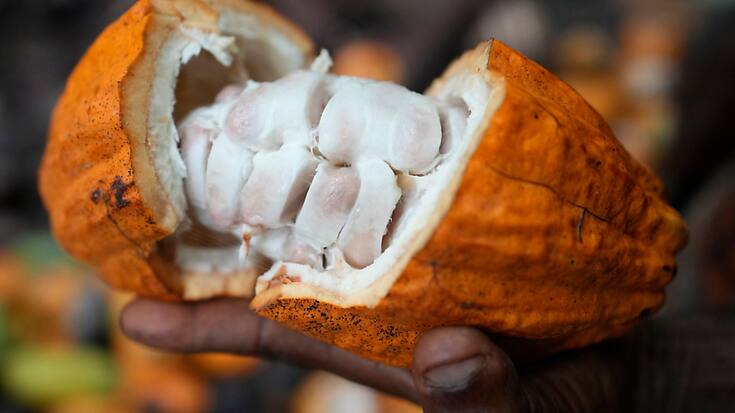 L'envolée inlassable des prix du cacao s'explique par une combinaison de facteurs, notamment par le manque de cacao venant d'Afrique de l'Ouest. (archives)