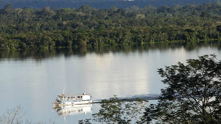 Le programme vise à lever jusqu'à un milliard d'euros d'investissements verts dans l'Amazonie brésilienne et guyanaise, a annoncé la présidence française.