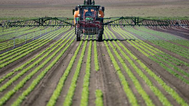 La révision de l'ordonnance sur les produits phytosanitaires veut aligner la procédure d'homologation de tels produits sur celle de l'UE (archives).