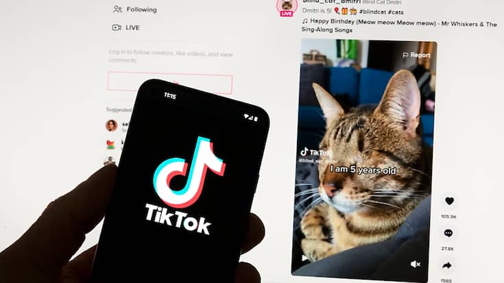 TikTok dispose du "programme de récompenses", qui permet aux utilisateurs de gagner des points en effectuant certaines "tâches" sur le réseau social, telles que regarder des vidéos. (archives)