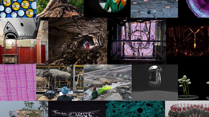 Dix-huit ½uvres ont été primées dans le cadre du Concours FNS d’images scientifiques 2024.