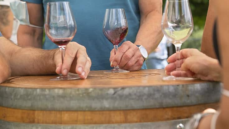 Pour la Cogest, ce n'est pas tant la construction que l'exploitation de l'oenoparc Les Cellisers de Sion qui a posé problème. Et cet aspect a été mis en conformité depuis (image d'illustration).