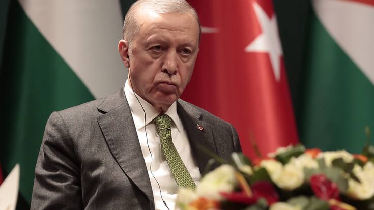 Le président Erdogan avait déjà annoncé dans la journée bloquer les importations et exportations israéliennes dans les ports (archives).