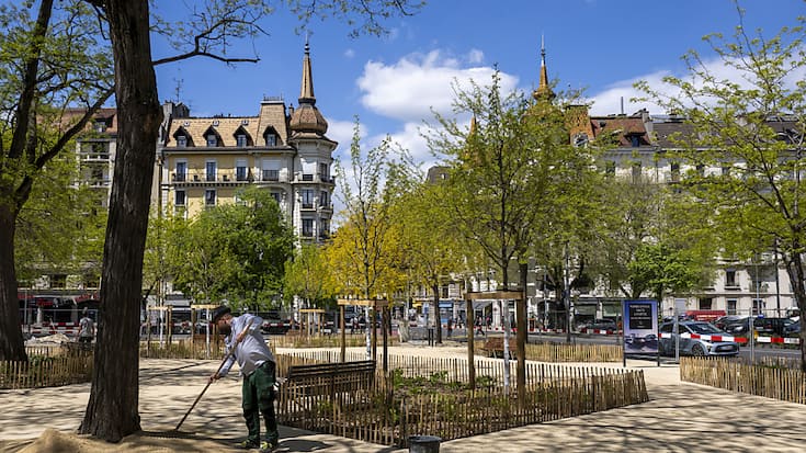 Afin de faire face aux changements climatiques, le Conseil d'Etat genevois veut faire passer la surface de canopée en ville de 23% à 30%. Un objectif partagé par la Ville de Genève qui réaménage des espaces publics (archives).