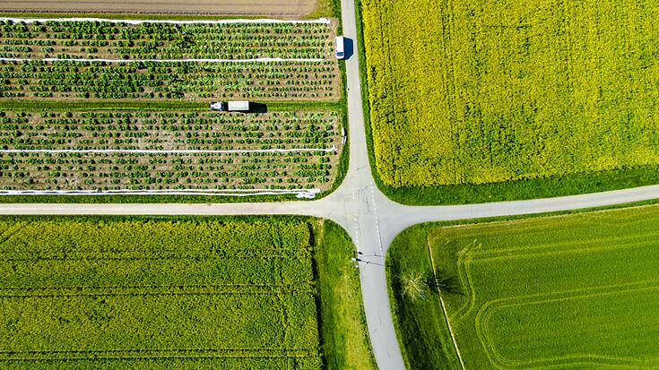 En 2023, 19% des terres assolées et des vignobles ont été exploités sans herbicides en Suisse (illustration).