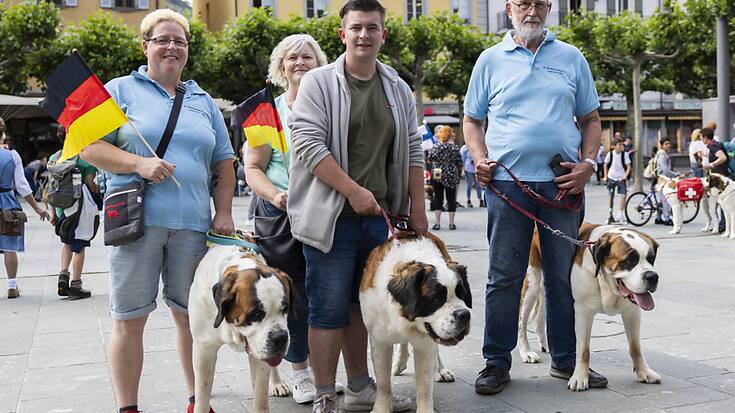 Les Saint-Bernards sont venus à Martigny pour participer au concours de l'Union Mondiale des Clubs de St-Bernard.
