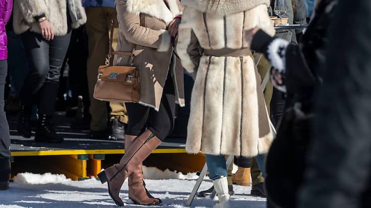 Les associations de consommateurs saluent l'interdiction d'importer des fourrures provenant d'animaux ayant subi de mauvais traitements proposée par le Conseil fédéral (archives).