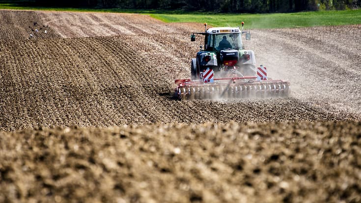 Sur les sites d'herbages exploités de manière intensive, des hausses de cuivre et de zinc sont constatées (illustration).