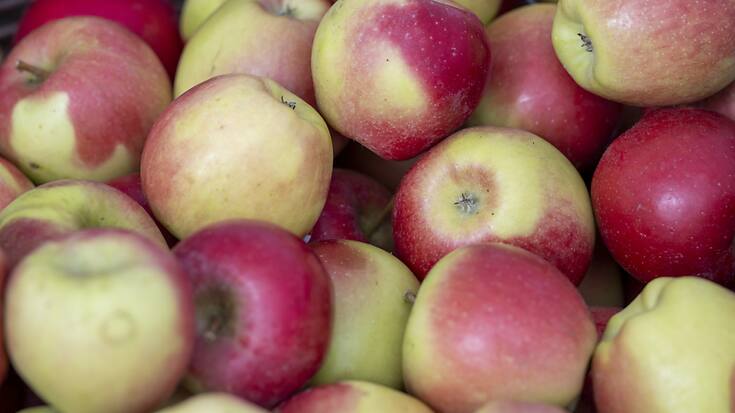 Responsables pour moitié de ce coût sanitaire: une alimentation pauvre en céréales complètes (au profit de produits raffinés, un phénomène généralisé sauf dans certains pays africains ou en Inde), des régimes pauvres en fruits (ce qui concerne tout le globe), et des régimes riches en sel.