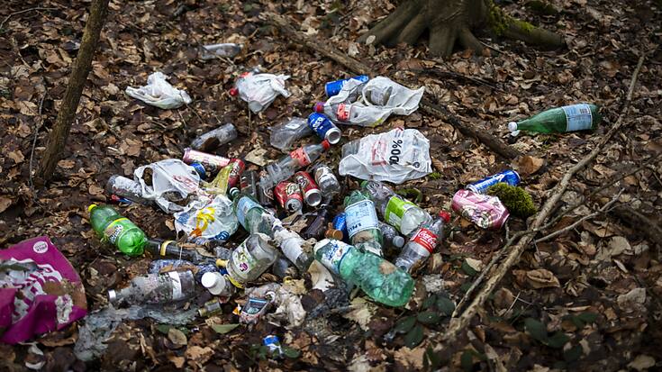 La sanction contre le fait de jeter des déchets sur la voie publique ne sera pas introduite tout de suite (archives).