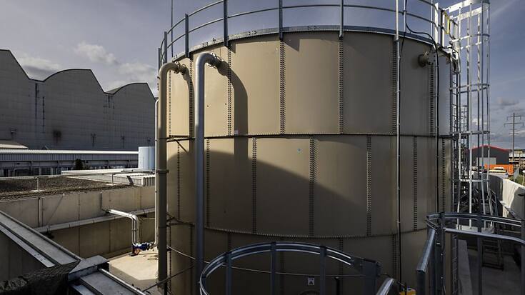 Les investissements étrangers ne devraient pas être contrôlés (archives).