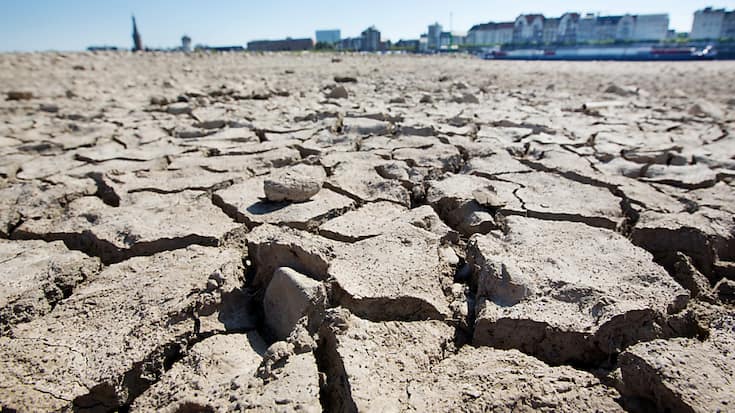 Les sécheresses, alimentées par le réchauffement et une gestion insoutenable des ressources en eau et des sols, devraient toucher 75% de la population mondiale d'ici 2050, indique un rapport de l'ONU.