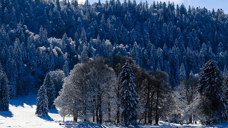 Les conditions devraient être idéales jeudi pour la journée de ski de fond gratuite (archives).