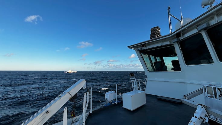Un bateau des gardes-côtes finnois patrouillant dans la zone où un des câbles a été endommagé.