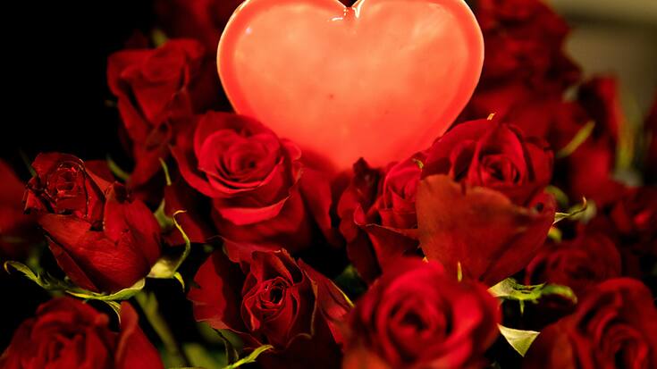 La Saint-Valentin est l'un des événements les plus importants pour les fleuristes suisses. (Image d'illustration)