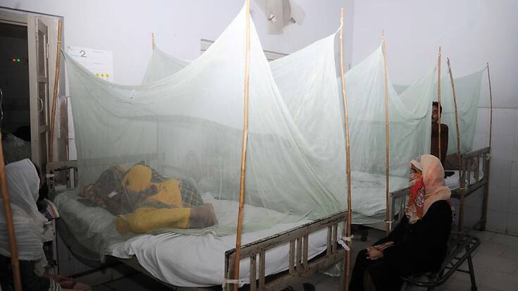 Le parasite du paludisme tue encore près d'un demi-million de personnes chaque année. (Image symbolique)