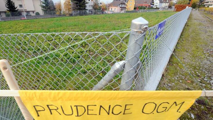 Le moratoire sur les OGM devrait être prolongé (archives).