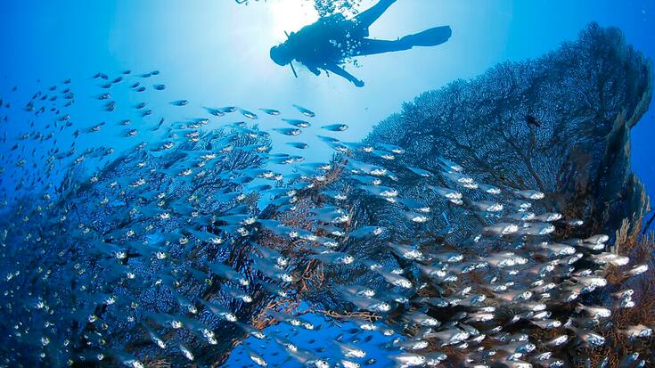 Un accident de sous-marin touristique s'est produit jeudi en Mer Rouge (photo prétexte).