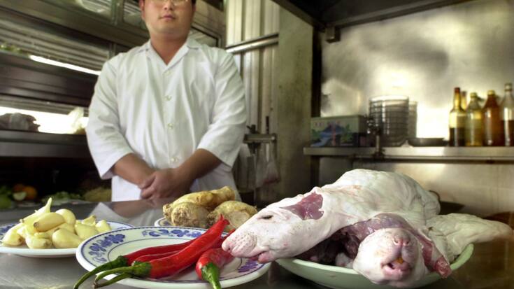 Le rat peut se cuisiner, comme ici à Taïwan, mais en l'occurrence il constituait plutôt un signe d'insalubrité (Photo prétexte)..