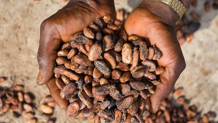 La hausse de l'indice des prix à la production par rapport à février dernier est principalement due à l'augmentation des prix des produits à base de cacao et de chocolat ainsi que du café et du thé transformés (archives).