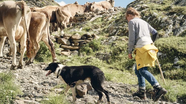 Les conjoints actifs dans l'agriculture doivent être mieux protégés (image prétexte).