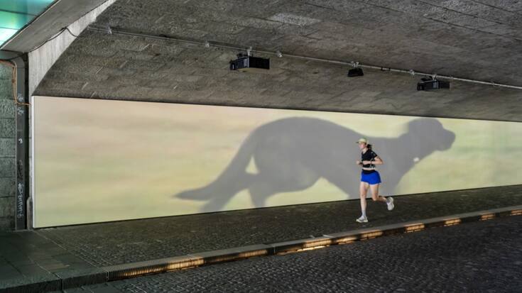 Une des installations visibles lors de cette édition 2025 d'Art Basel:  Finite/Infinite (2010) de l'artiste américain Sturtevant.