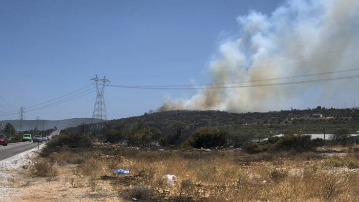 L'incendie à l'est de la station balnéaire d'Izmir avait déjà coûté la vie jeudi à un homme de 81 ans alité et à un ouvrier forestier de 39 ans (archives).
