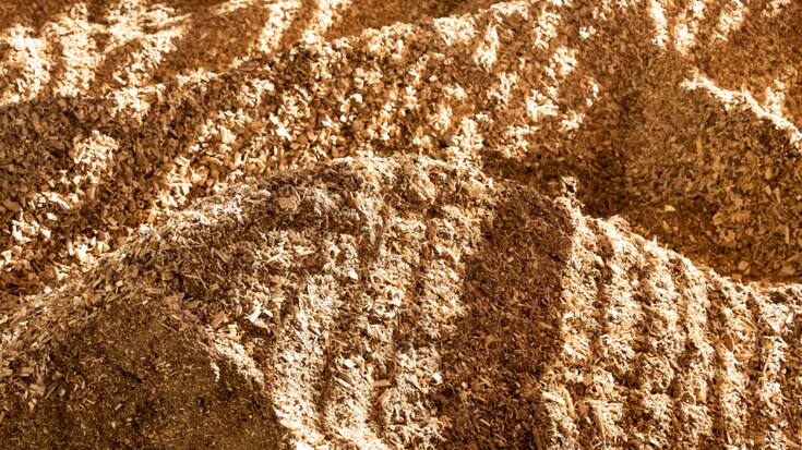 Presque un tiers du bois récolté en Suisse est transformé en copeaux pour la production d'énergie. (archives)