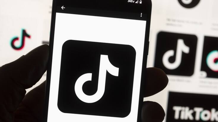 Trois heures après avoir lancé son compte TikTok, la Maison-Blanche comptabilisait déjà plus de 25'000 abonnés (archives).