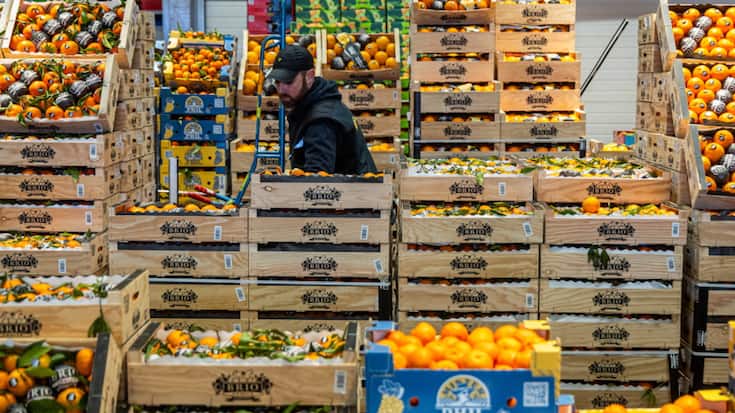 Les prix de l'limentation ont progressé un peu moins (3,2% contre 3,3% en juillet), tout comme ceux des services (-0,1 point à 3,1%). Les prix des biens industriels sont de leur côté stables à +0,8%.