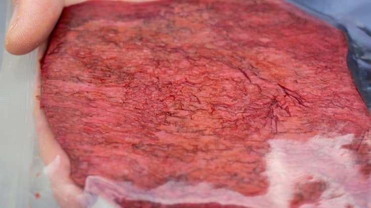 Aleph Farms produit de la viande cultivée en laboratoire. La firme israélienne a présenté en 2018 son premier steak, puis un ribeye en 2021 et du collagène en 2022. Elle veut désormais cultiver de la viande de haute qualité à Kempthal (ZH) et y établir sa base de production pour l'Europe.