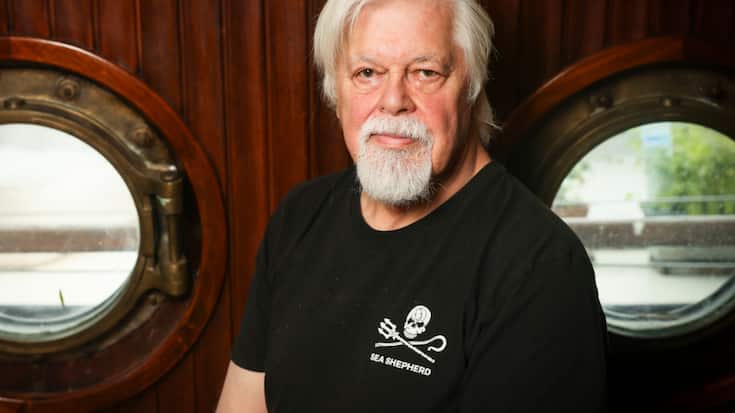 Le militant écologiste Paul Watson n'a pas reçu l'asile politique en France. (AP Photo/Thomas Padilla)