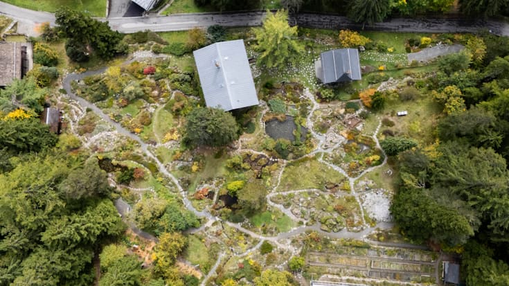 Le jardin botanique Flore-Alpe à Champex-Lac (VS) fêtera son 100e anniversaire en 2027.