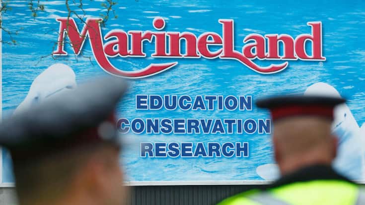 Le parc Marineland Canada se trouve près des chutes du Niagara (archives).