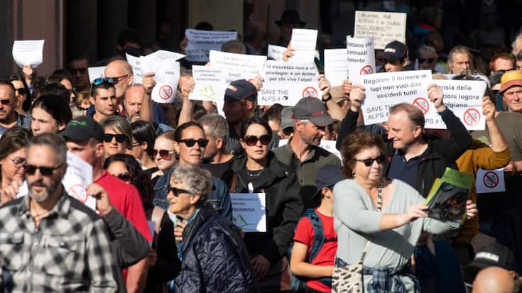 Plusieurs éleveurs ont défilé dans les rues de Bellinzone samedi.