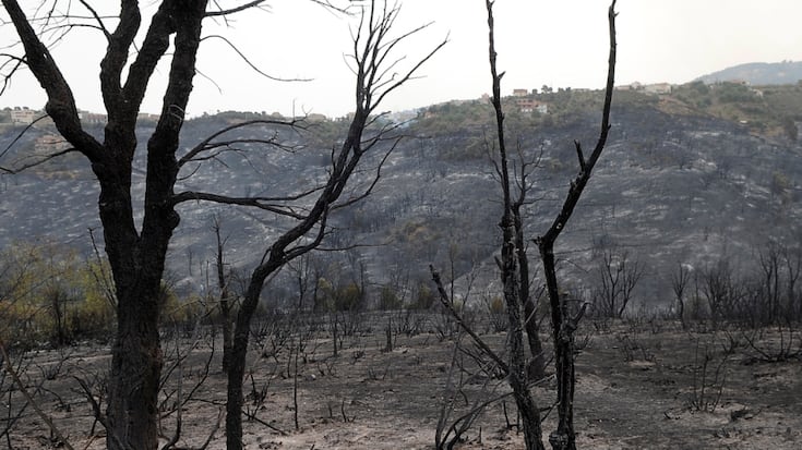 Des dizaines de milliers d'hectares de forêts avaient disparu dans cette région de Tizi Ouzou dans les incendies qui ont ravagé le nord-est algérien entre 2021 et 2023. C'est dans cette région que le million d'arbres a été planté (Archives).