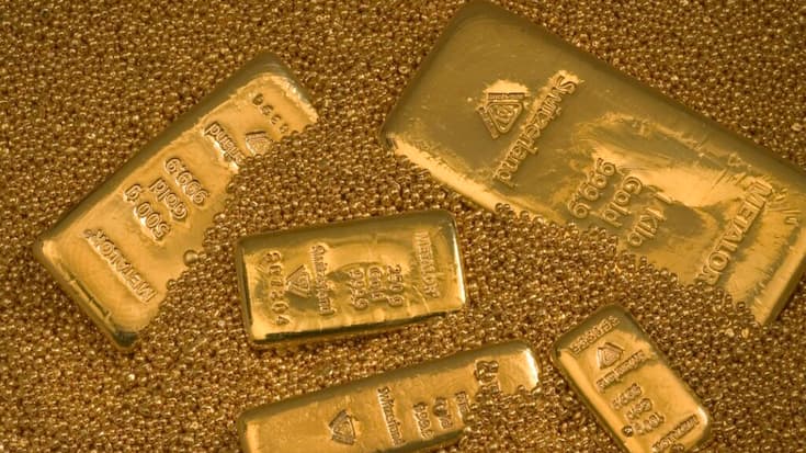 L'homme creusait dans son jardin pour y installer une piscine quand il est tombé sur le trésor. Comme il ne s'agit pas d'une découverte archéologique, il pourra en rester propriétaire. De quoi payer sa piscine (Photo d'illustration).