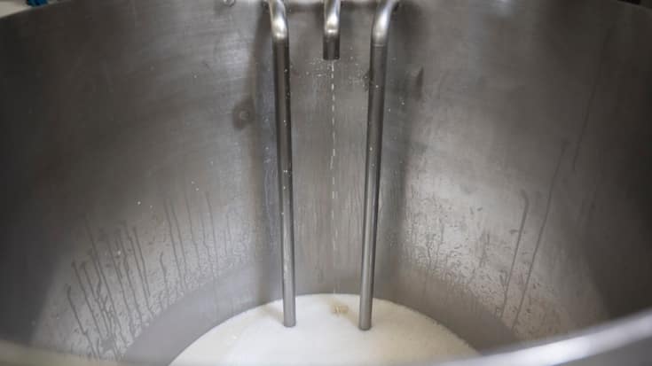 Les exploitations laitières sont passées de 39'900 en 2000 à 16'600 en 2024. (photo d&#8217;archives)