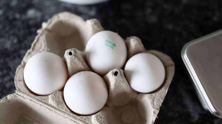 La concentration de PFAS dans les ½ufs est également liée au mode d'élevage. (Image symbolique)