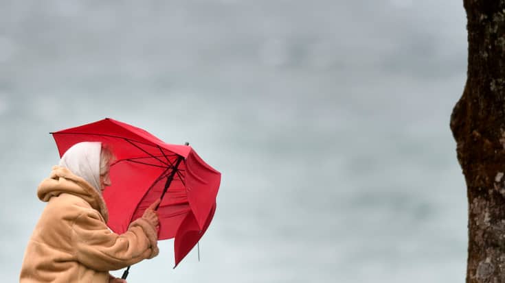 La tempête Goretti devrait apporter des vents très violents (image d'illustration).