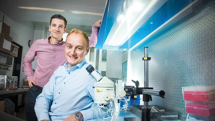 file782lyh7jfft1h2s12jed