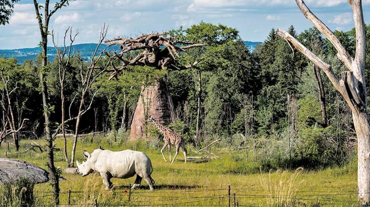 file7cgx31co0l31dd5es1l9