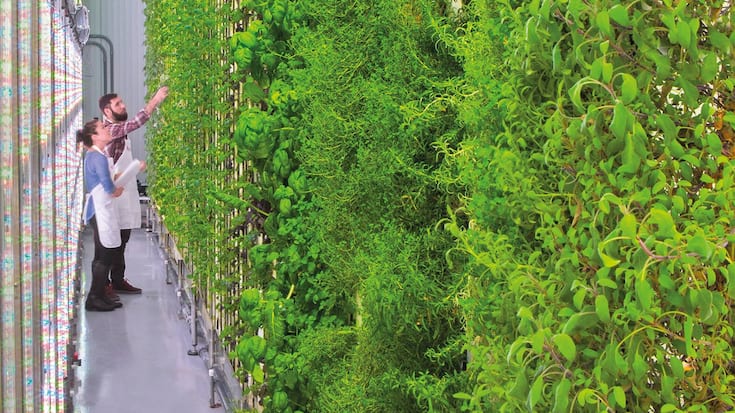 file78gj1v1y8j9w92o0n35