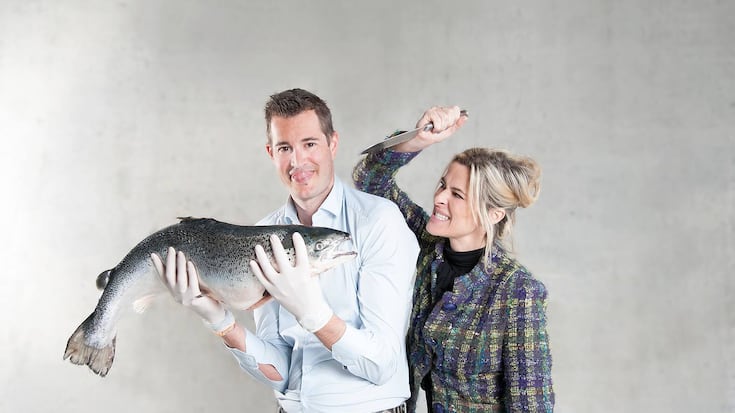 file6zs3kt8bl1z8wn0o2vz